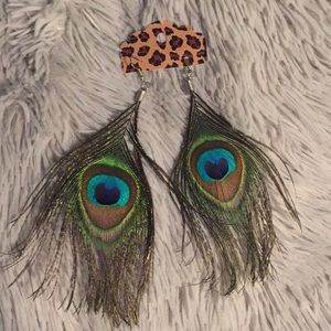 Peacock Feather Earrings